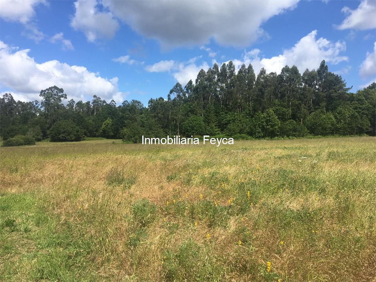 Foto 4 Venta finca Ames