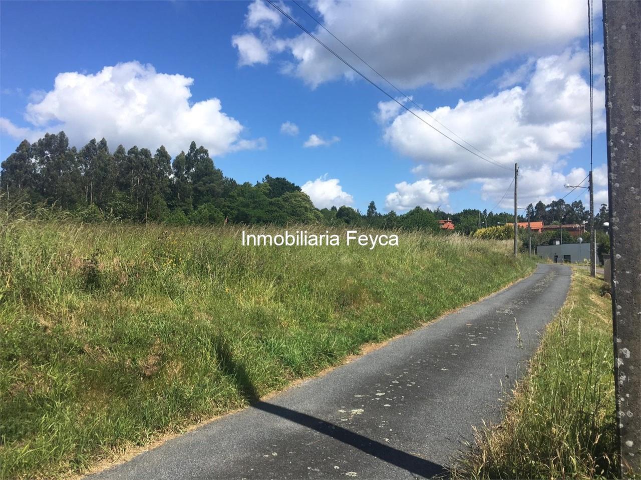 Foto 5 Venta finca Ames