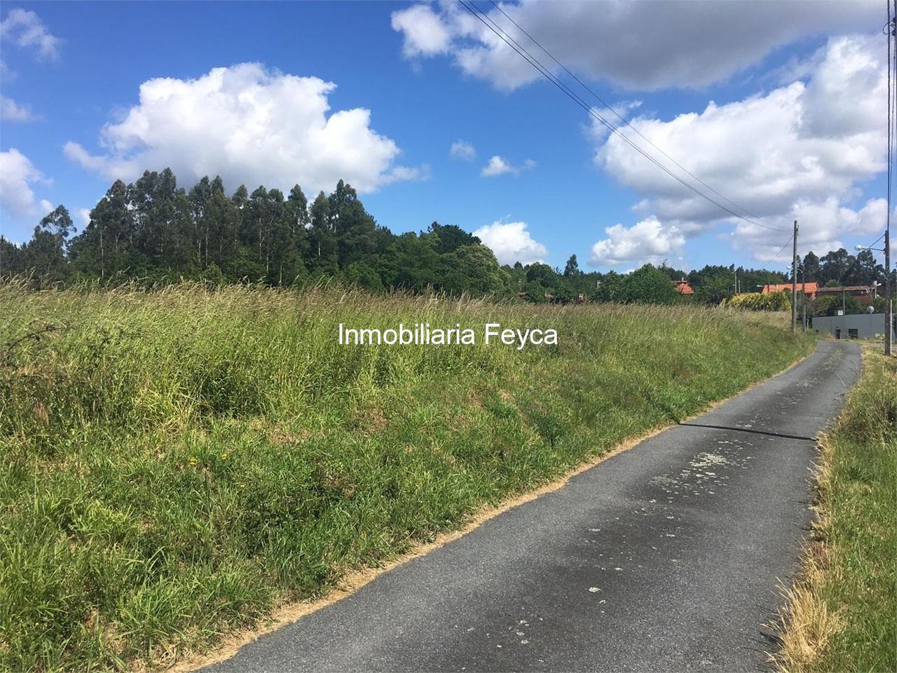 Foto 6 Venta finca Ames