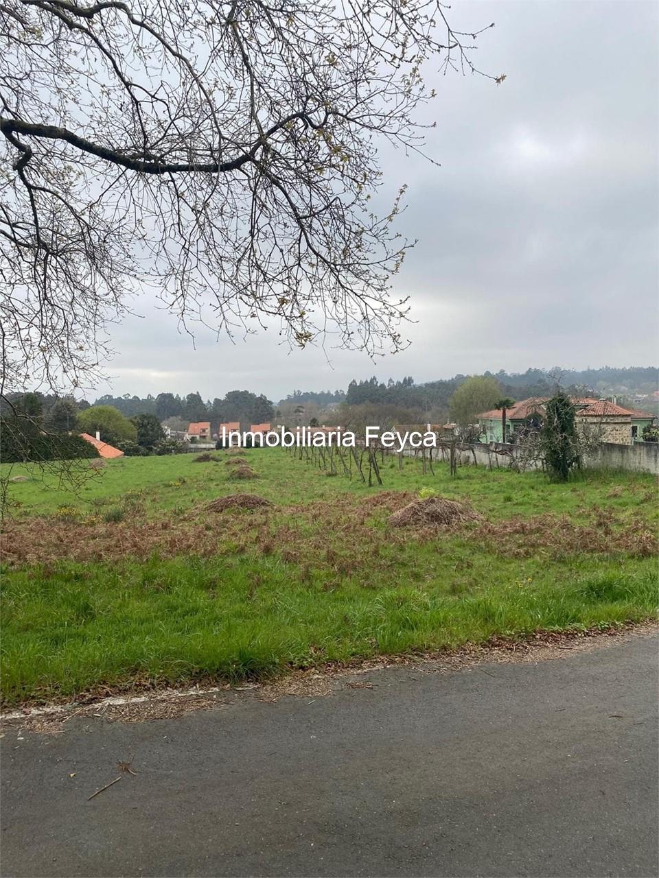 Foto 7 Venta finca edificable Luou