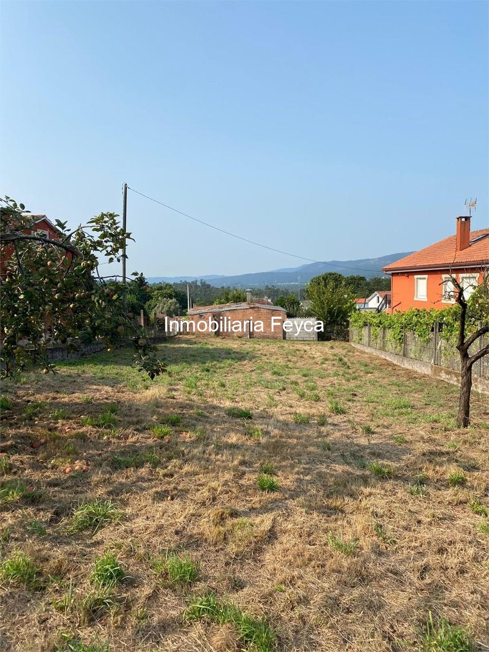 Foto 2 Venta finca en Ortoñiño