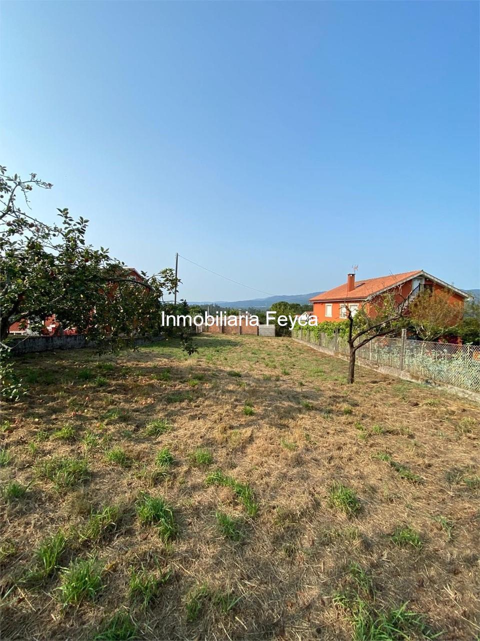 Foto 3 Venta finca en Ortoñiño