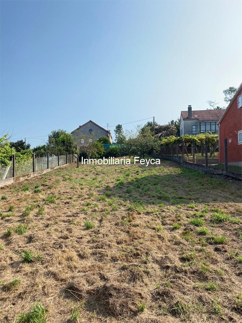Foto 5 Venta finca en Ortoñiño