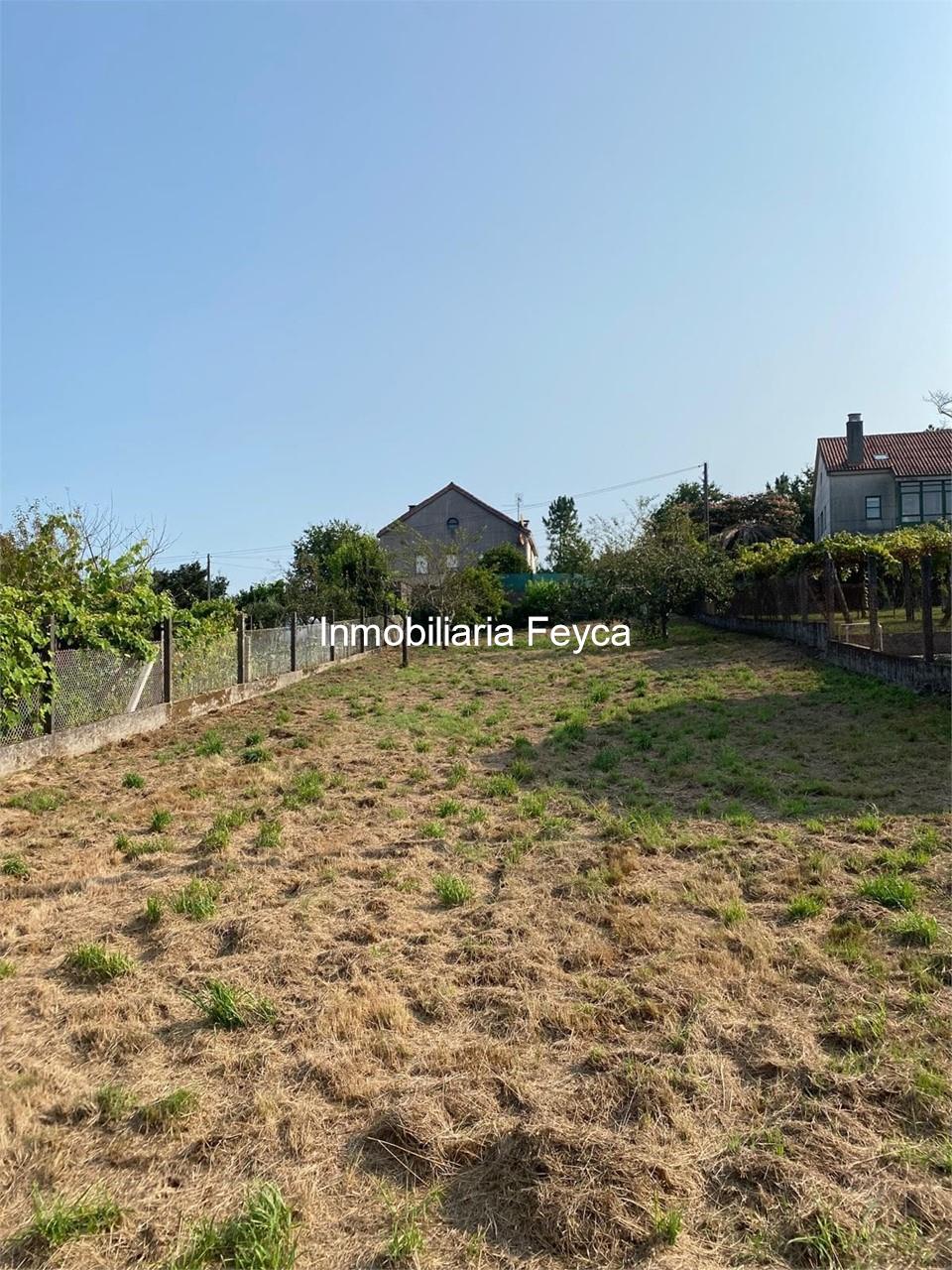 Foto 6 Venta finca en Ortoñiño