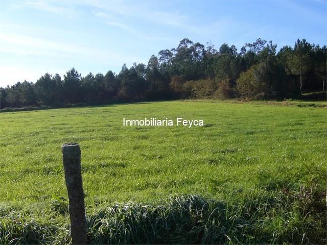 Venta finca Seares de Abaixo - Ames